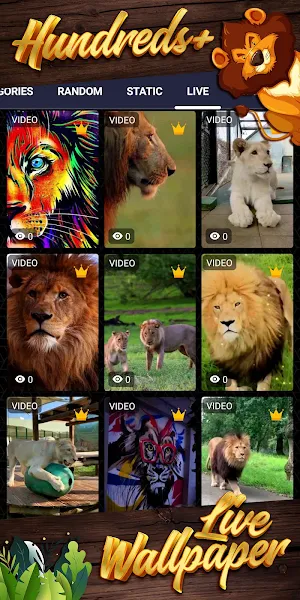 lion background Screenshot 2