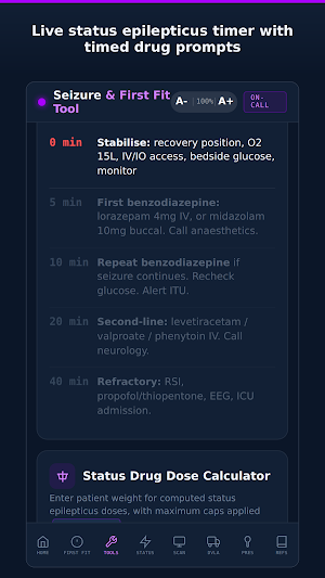Seizure Decision Tool Screenshot 0