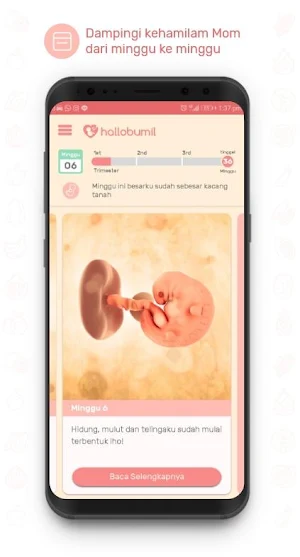 Hallobumil Screenshot 3