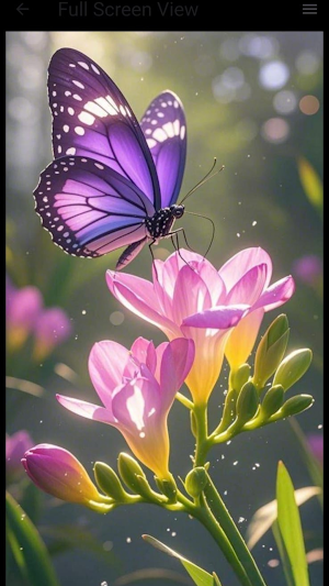 Butterfly Wallpaper Screenshot 2