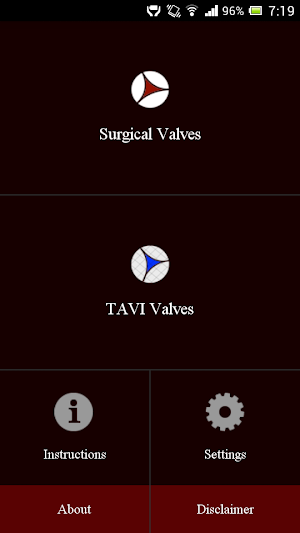 ViV Aortic Screenshot 0