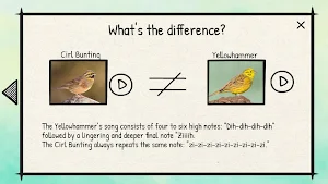 BirdLingo Europe Screenshot 3