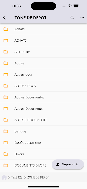 PHYGICAB AUDIT & CONSEIL Screenshot 2