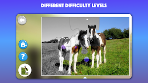 Horse games and Pony jigsaw puzzle for kids 🐎🐴🧩 Screenshot 3
