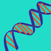 DNA Relationship Finder