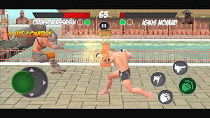 Kung Fu Karate Fight 3D Screenshot 3