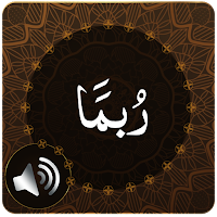 Para 14 Audio