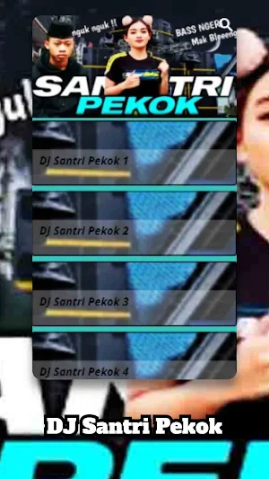 DJ Santri Pekok Screenshot 1