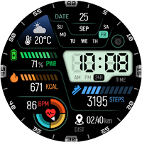 DIGI Momentum WS9 Watch Face