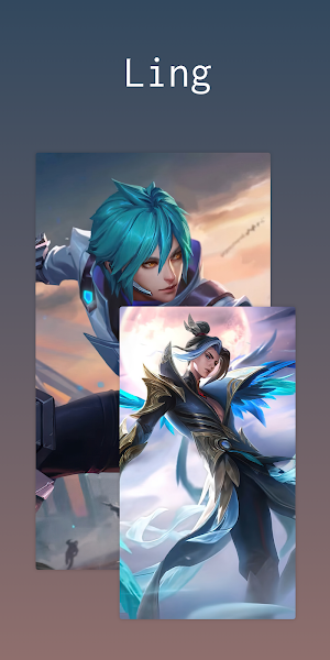 Assassin Wallpaper Screenshot 1