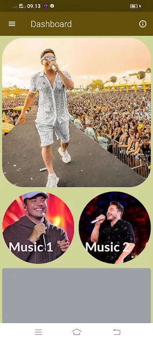 Wesley Safadão Musica Offline Screenshot 0