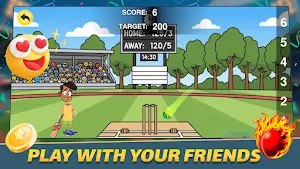 Indian Cricket Team Screenshot 1