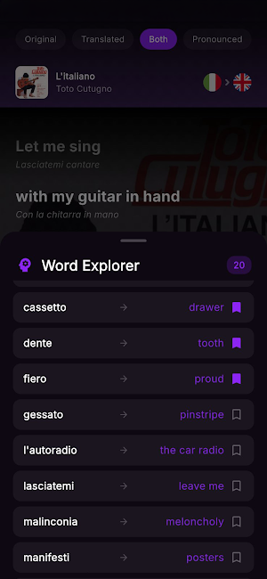 SongSense: Lyrics Translated Screenshot 1