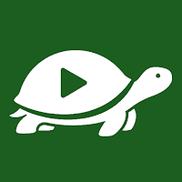 Turtle - Watch Party