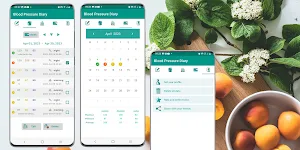 Blood Pressure Diary Screenshot 2