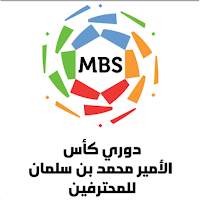 اسأله عن الدوري السعودي