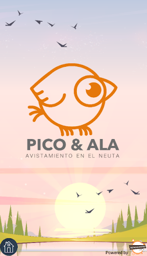 Pico y Ala Screenshot 0