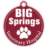 Big Springs VH