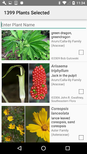 East Texas Wildflowers Screenshot 1