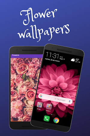 Images of Flowers Screenshot 3