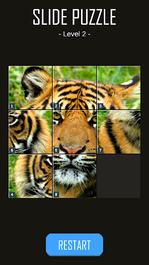 15 Slide Block Tiles Puzzle HD Screenshot 2