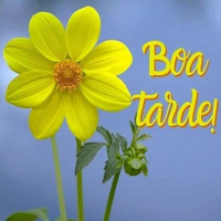 Mensagens de Boa Tarde