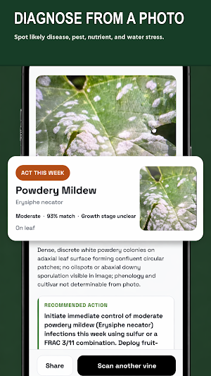 Vine Guard: Vineyard Health Screenshot 1