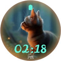 Beautiful Cats Watch Face