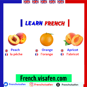 Learn French - Français Screenshot 0
