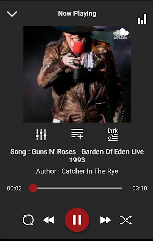 Gun N' Roses Screenshot 3