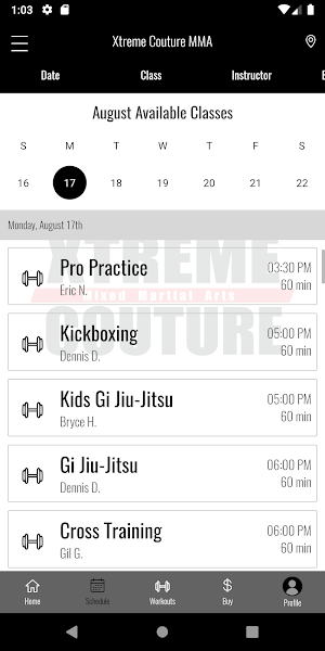 Xtreme Couture MMA Screenshot 2