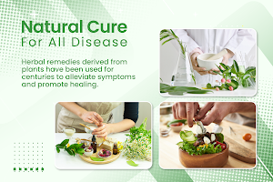 Natural Cure for All Diseases Screenshot 0