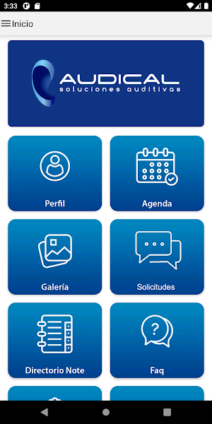 Audical Screenshot 1
