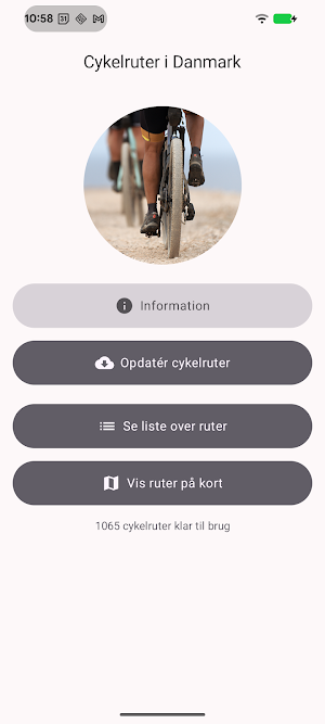 Cykelruter i Danmark Screenshot 1