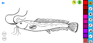 Ikan Empang Coloring Screenshot 1
