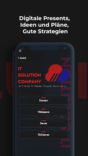 IT Solution Schlup Screenshot 2