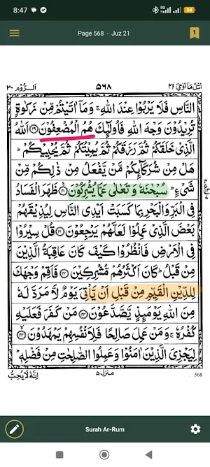 13LineQuran Screenshot 0