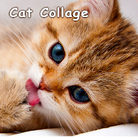 Cat Collage Theme