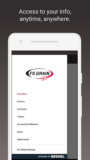 FS GRAIN Screenshot 0