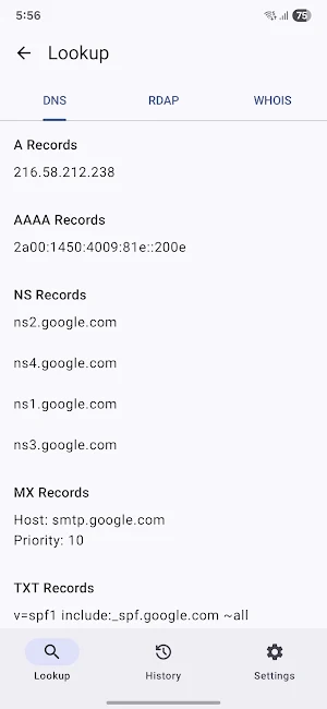 DomainQuery: DNS, RDAP & WHOIS Screenshot 1