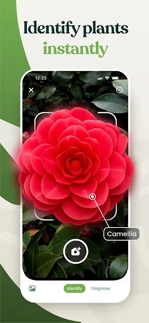Plantalya : Plant Identifier Screenshot 0