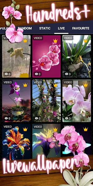 orchid wallpaper Screenshot 2
