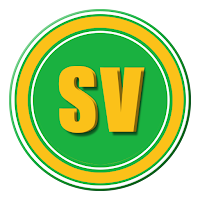 ST PLUS VIP