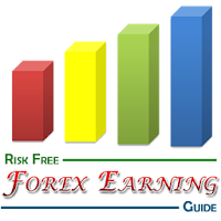 Risk Forex Earning Guide