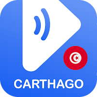 Guide to Carthage