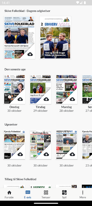 Skive Folkeblad Screenshot 0