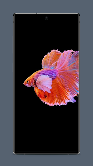 Koi Fish Wallpaper Screenshot 2