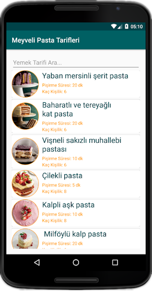 İnternetsiz Meyveli Pasta Tarifleri Screenshot 0