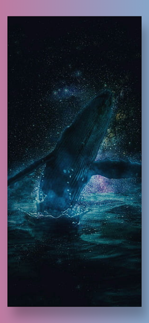 Cute Orca Whale Wallpaper HD Screenshot 3