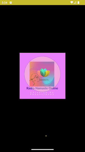 Radio Namaste Online Screenshot 1